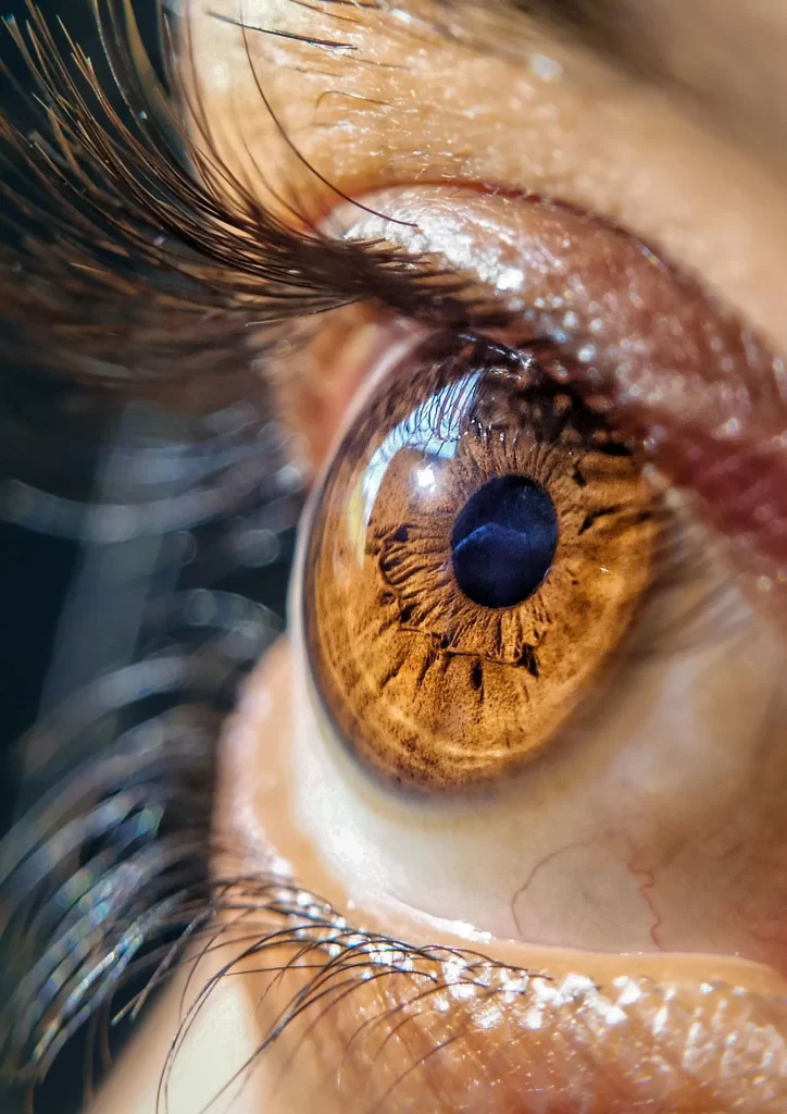 closeup of naturally healthy lashes after using a lash growth serum